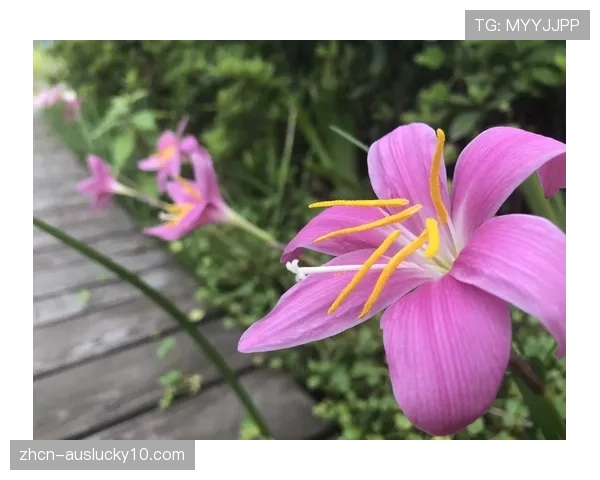 特写：场下十年功，训练馆里的清晨与日暮